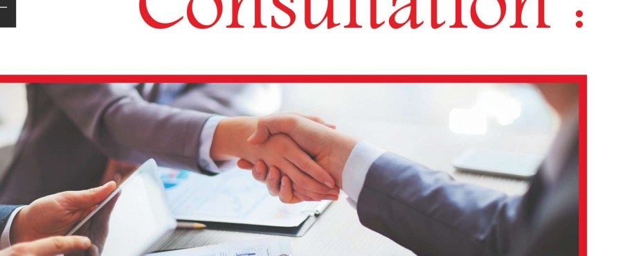 Business handshake during a consultation meeting